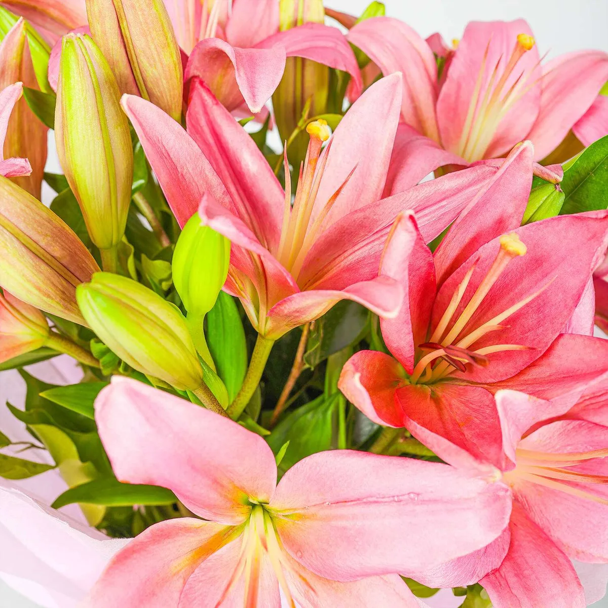 Charming Pink Lily Bouquet – Elegant Floral Gift for Love & Celebration