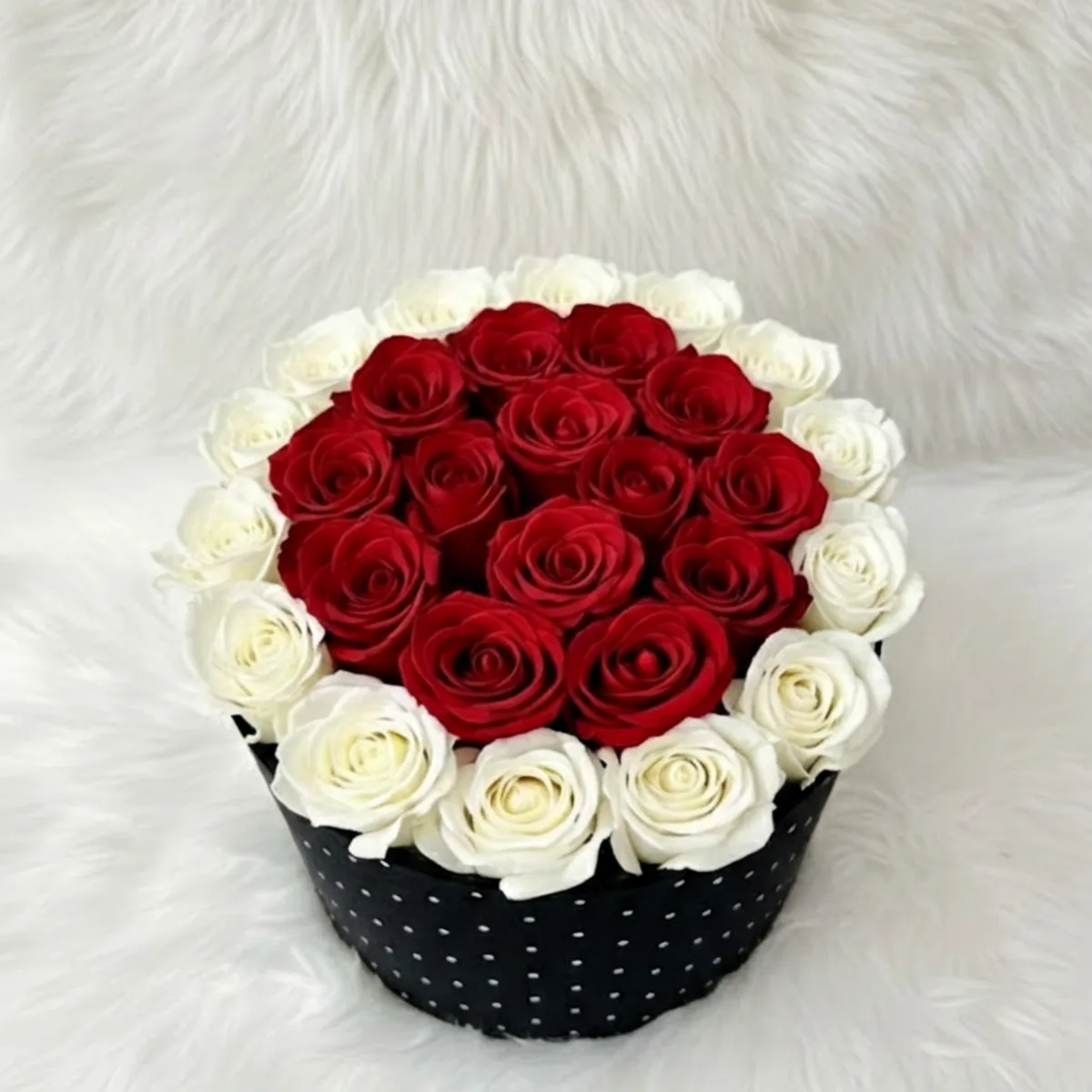 Premium Red and White Rose in Luxury Dotted Velvet Round Box