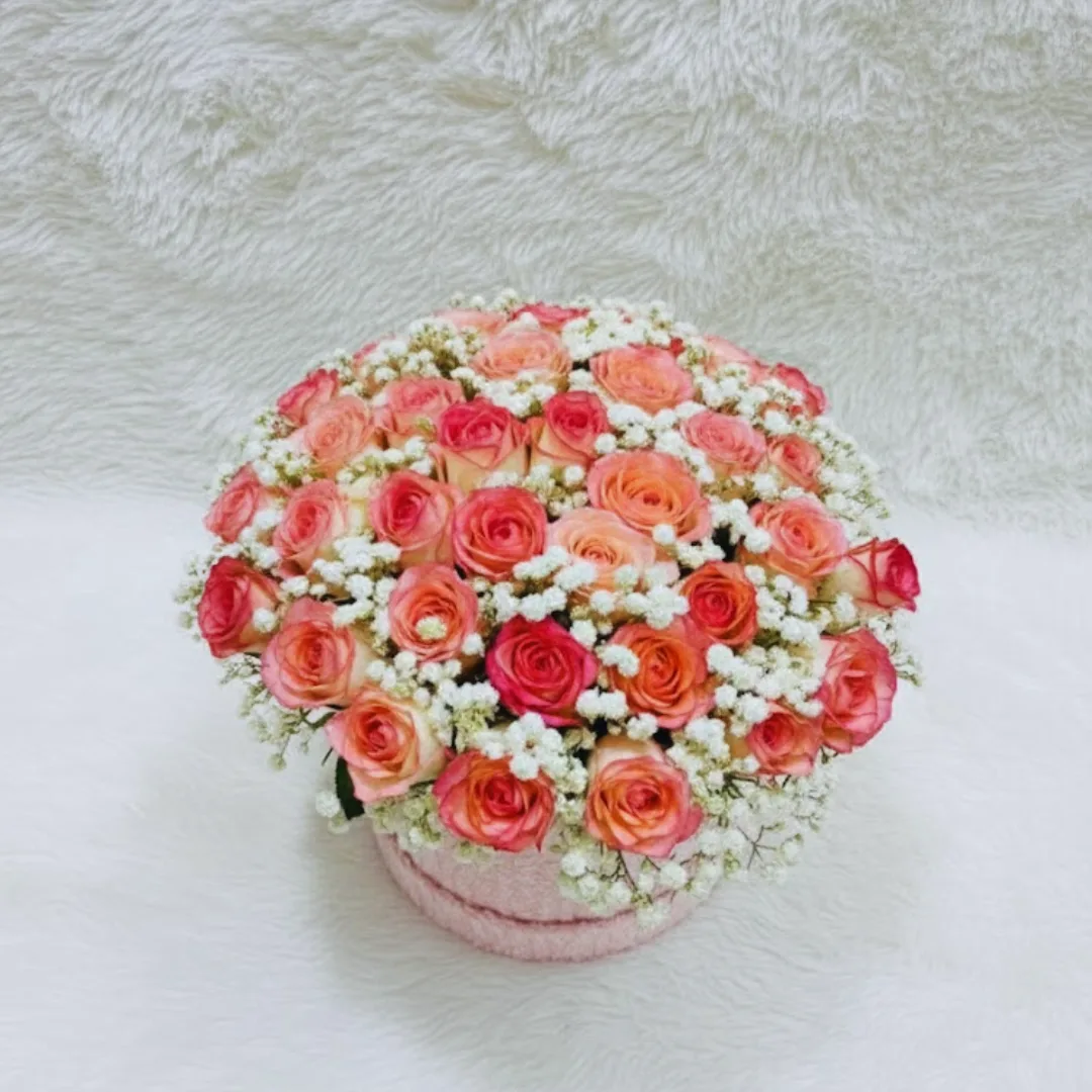 50 Pink Rose & Gypsy Arrangement in Cotton Velvet Luxury Round Box