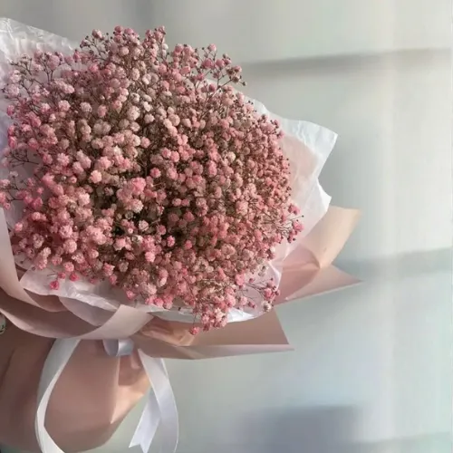 Pink Flowers
