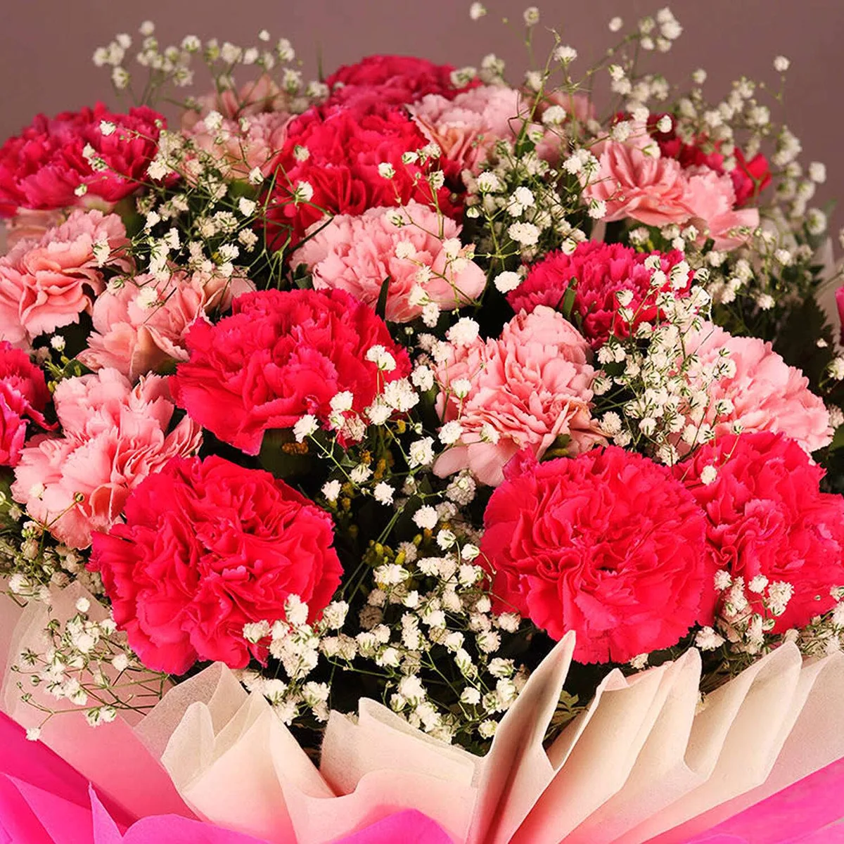 Elegant Pink Carnation Bouquet – Wrapped in White & Hot Pink Paper with Satin Bow