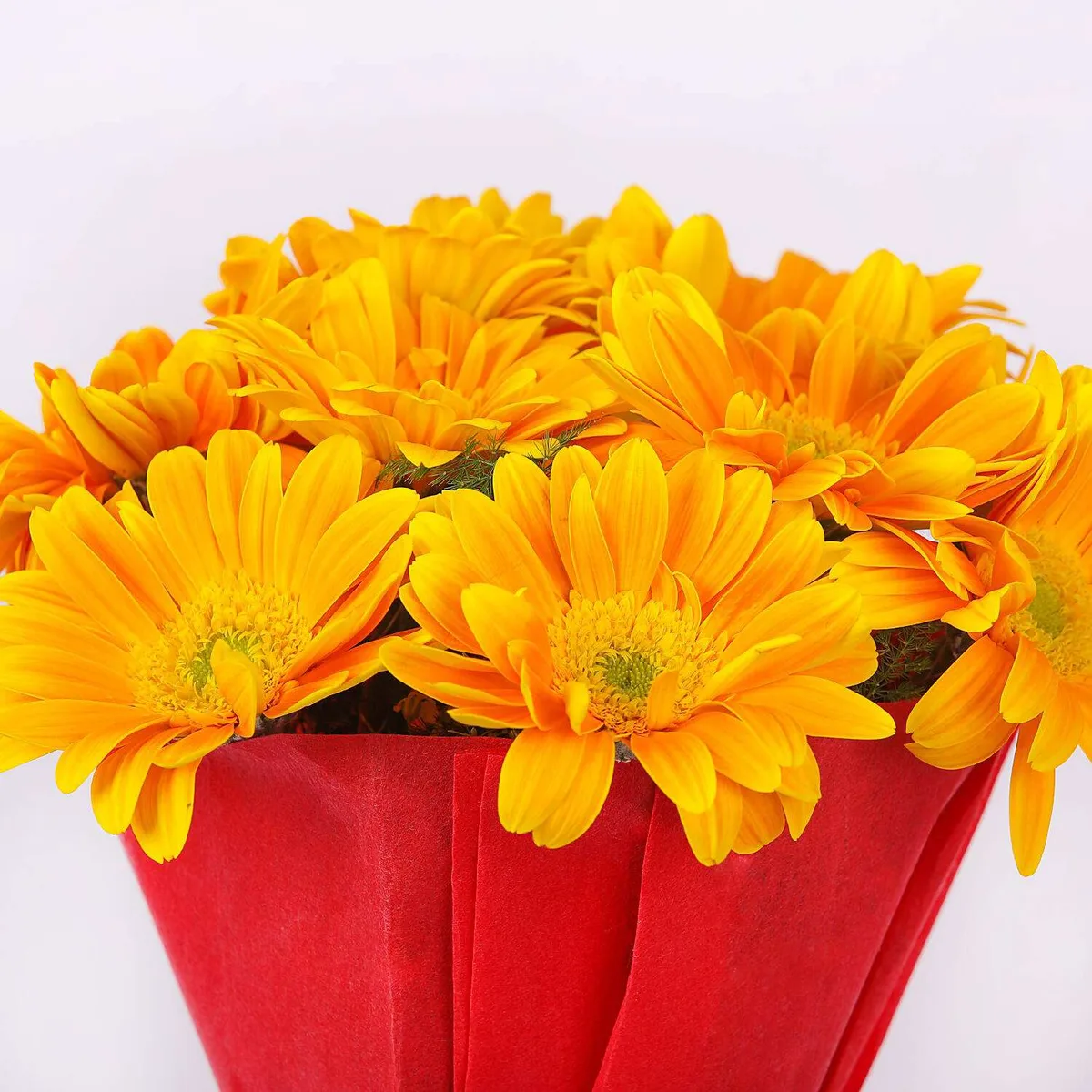 Bright Yellow Gerbera Bouquet
