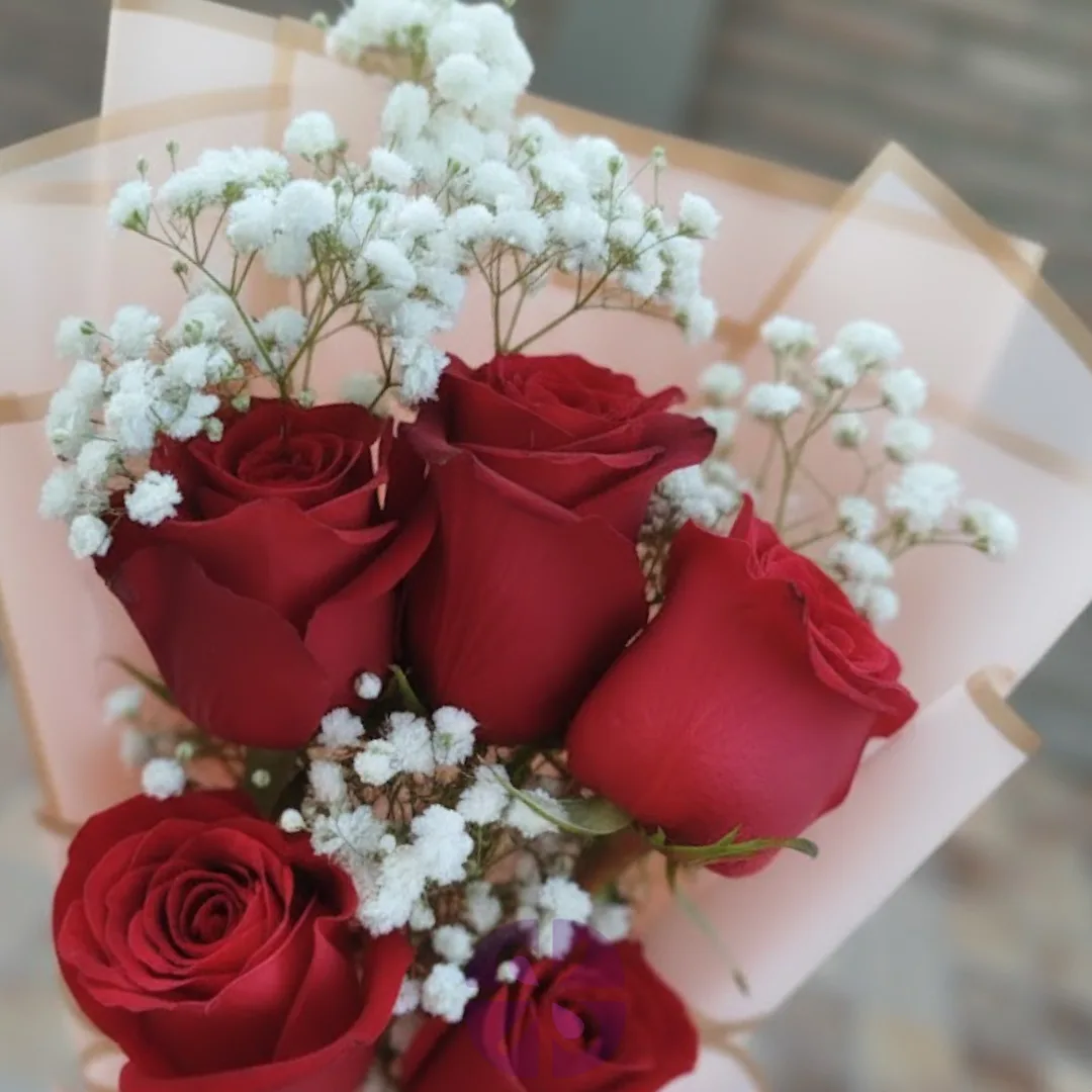 Five Chinese Red Rose Mini Bouquet in Baby Pink Wrap
