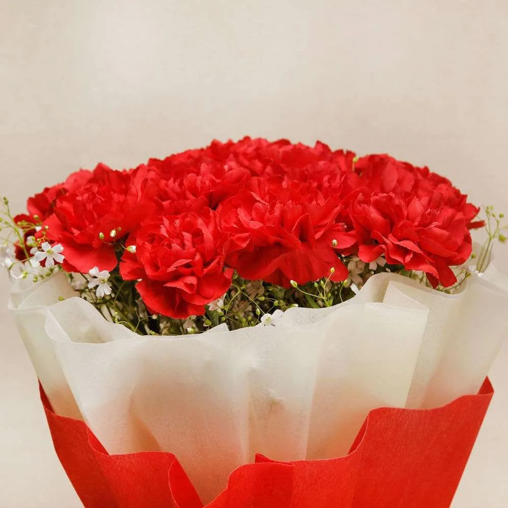 Red Carnation Bouquet