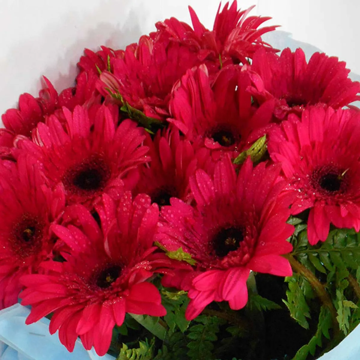 Charming Red Gerbera Flower Bouquet