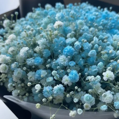 The Azure Dream Sky Blue Baby's Breath Statement Bouquet