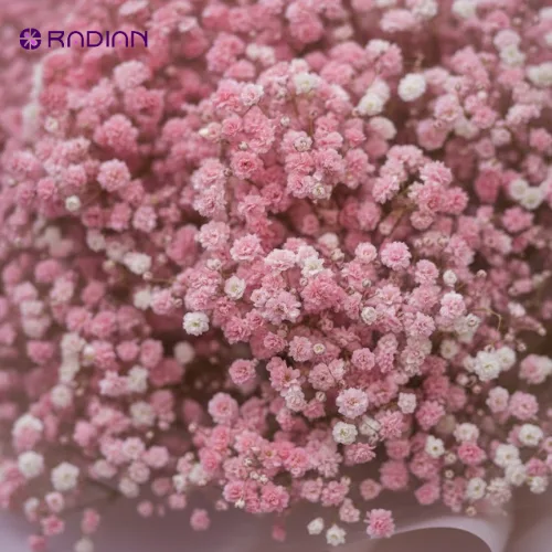 The Blush Dream Oversized Light Pink Baby's Breath Bouquet