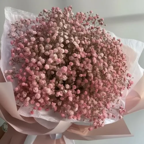 The Cotton Candy Cloud: Deluxe Pink Baby's Breath Bouquet